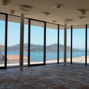 large steel framed pivot doors