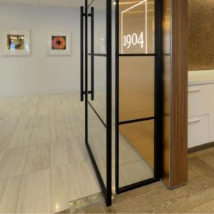 steel look internal pivot door